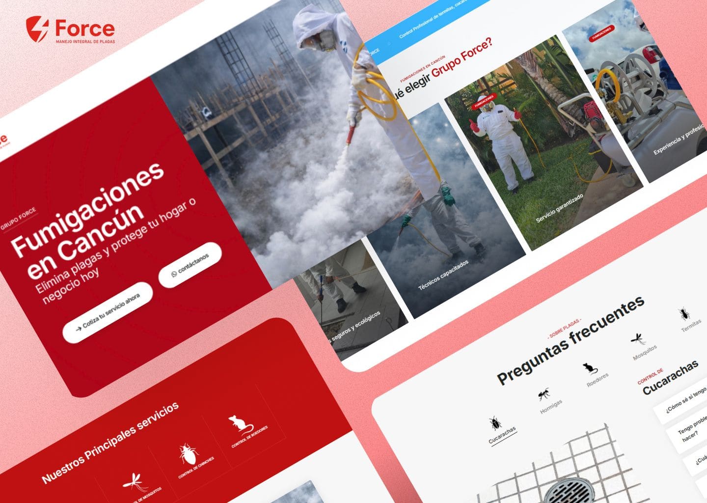 Landing page para servicios de fumigación - proyecto de Google Ads de Neréa Digital